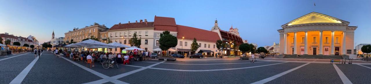 St Casimir Apartments Vilnius Luaran gambar